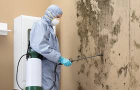 Best Mold Remediation for Vacation Homes  in USA